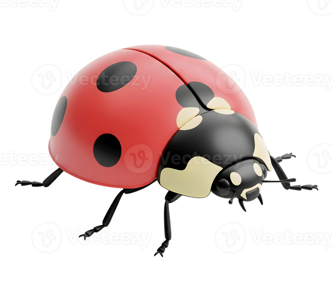 Red ladybug minimalist 3D rendering soft and smooth renderer png