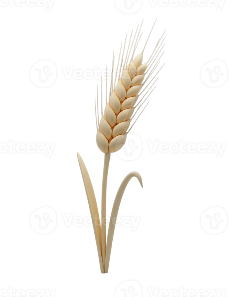 Stalk of Wheat Minimalist Rendering in a Soft And Smooth Renderer png