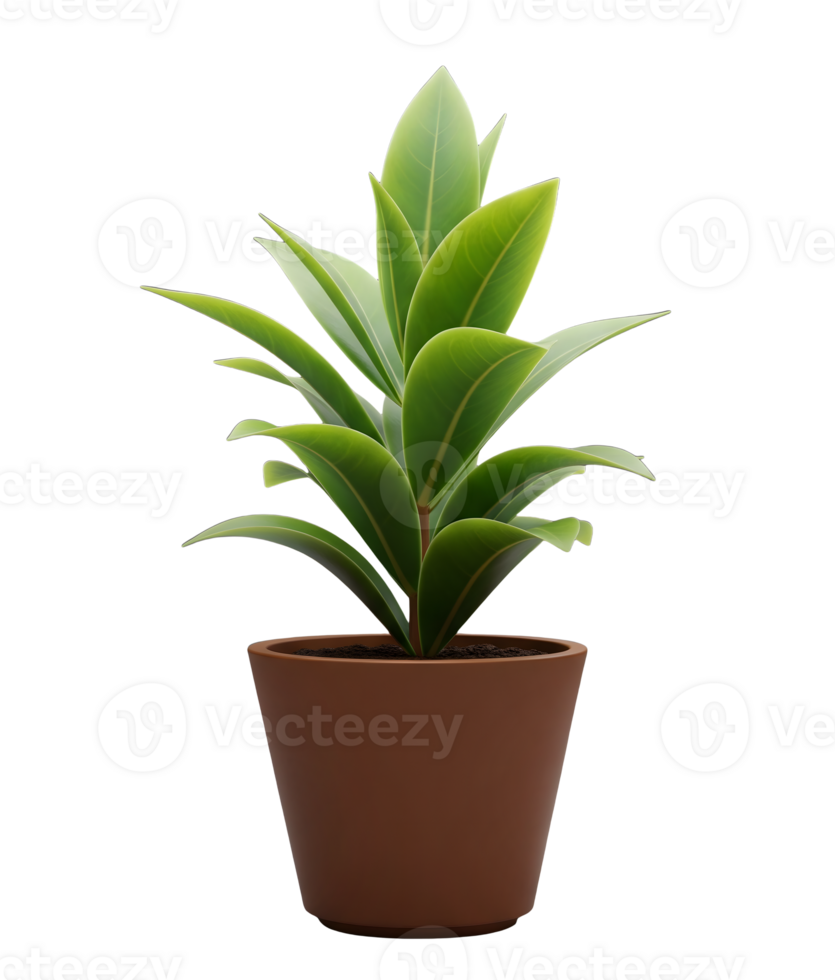 Potted Green Houseplant Minimalist 3D Rendering in a Soft And Smooth Renderer png