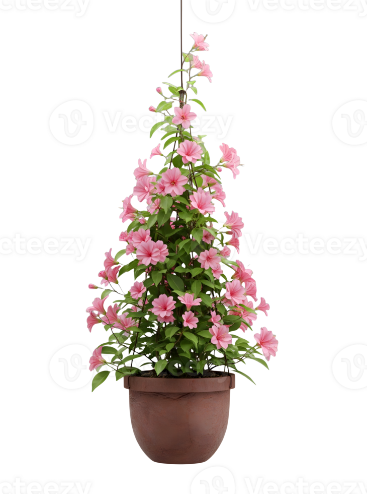 Hanging Basket with Cascading Pink Flowers Minimalist 3D Rendering in a Soft And Smooth Renderer png
