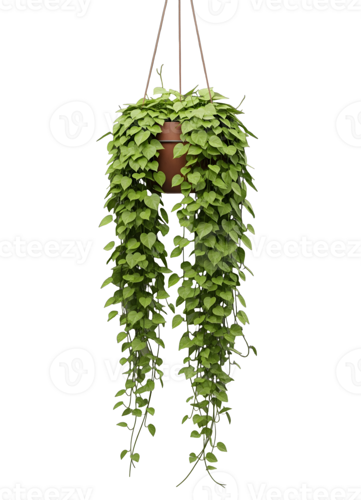 Green Trailing Plant in a Hanging Pot Minimalist 3D Rendering in a Soft And Smooth Renderer png