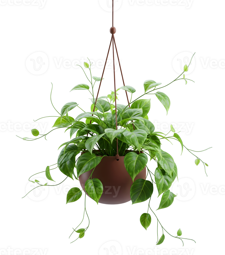 Green Trailing Plant a Hanging Pot Minimalist 3D Rendering in Soft And Smooth Renderer png