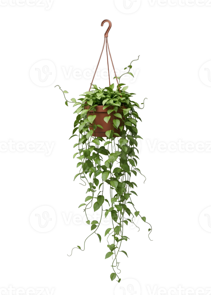 Green Trailing Plant in Hanging Pot Minimalist 3D Rendering in Soft And Smooth Renderer png