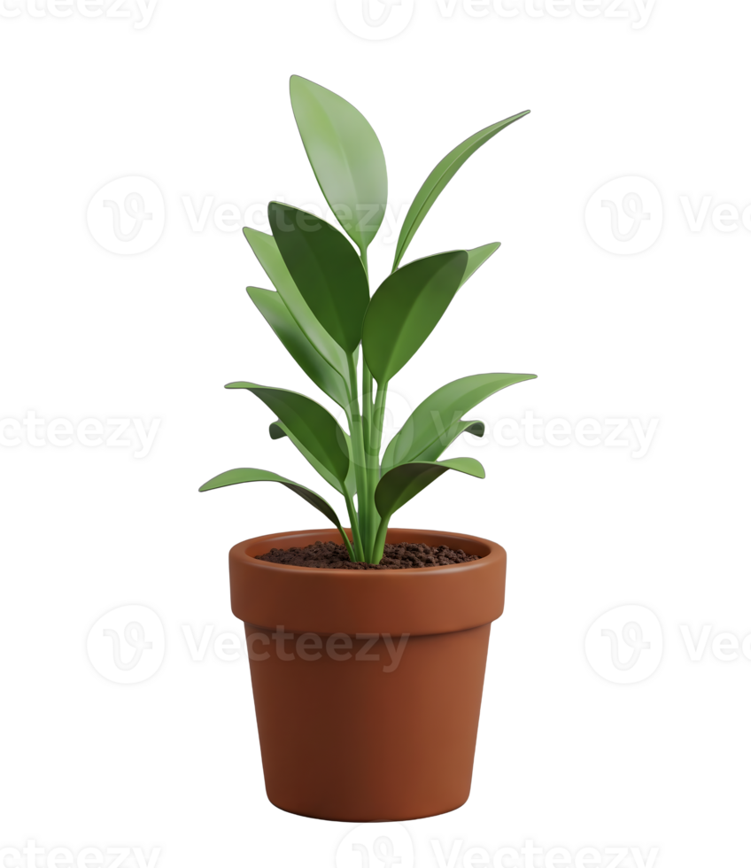 Potted Green Houseplant Minimalist 3D Rendering Smooth Renderer png