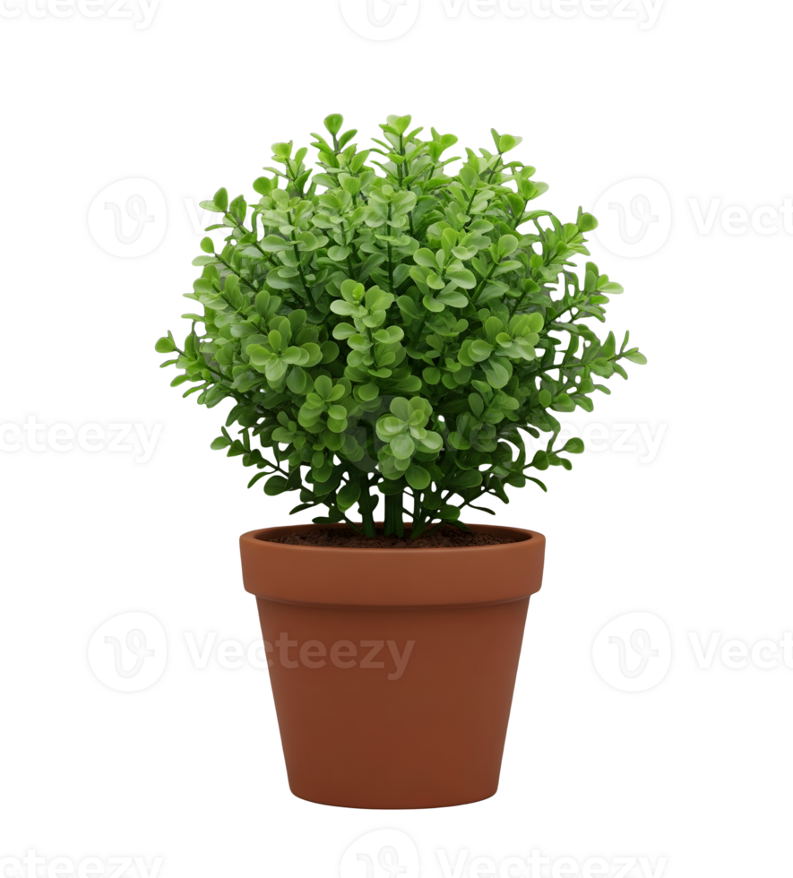 Topiary Plant in Pot Minimalist 3D Rendering in a Soft And Smooth Renderer png