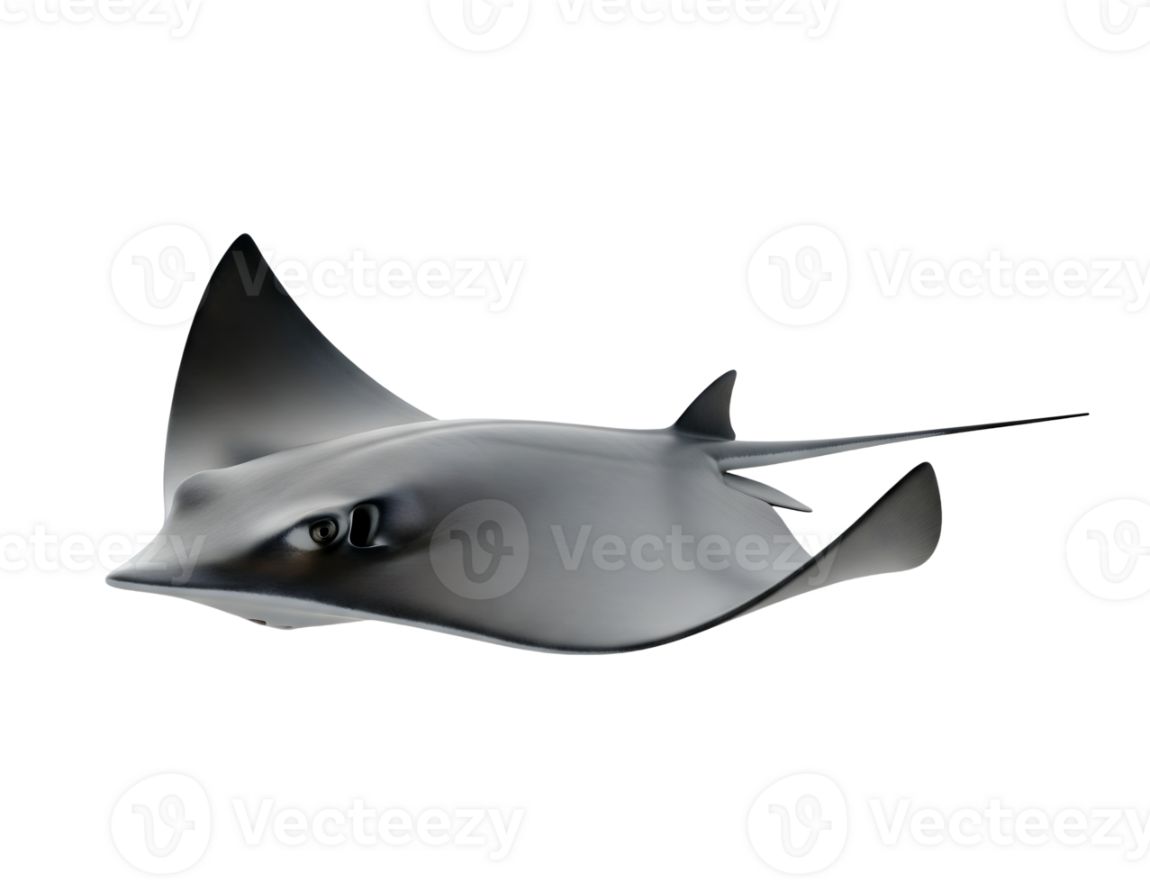 Stingray Minimalist 3D Rendering in a Soft Smooth Renderer png