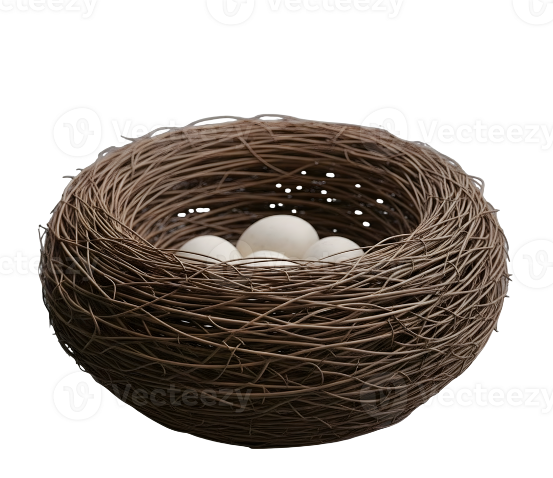 Birds Nest with Eggs Minimalist 3D Rendering in a Soft And Smooth Renderer png