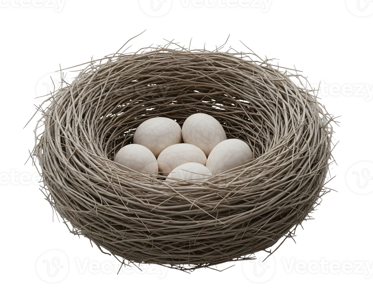 Birds Nest with Eggs Minimalist 3D Rendering and Smooth Renderer png