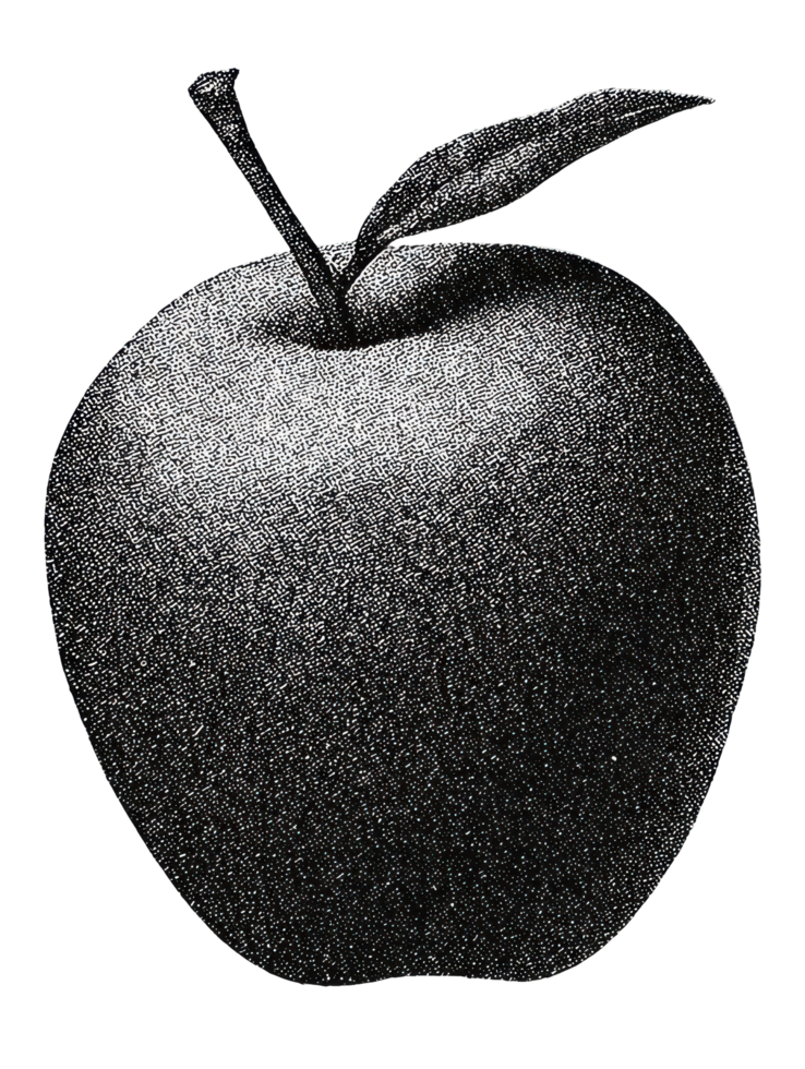 Vintage Apple Illustration In Retro Engraving. Fruit For Nostalgic Appeal Illustration Isolated On Transparent Background png