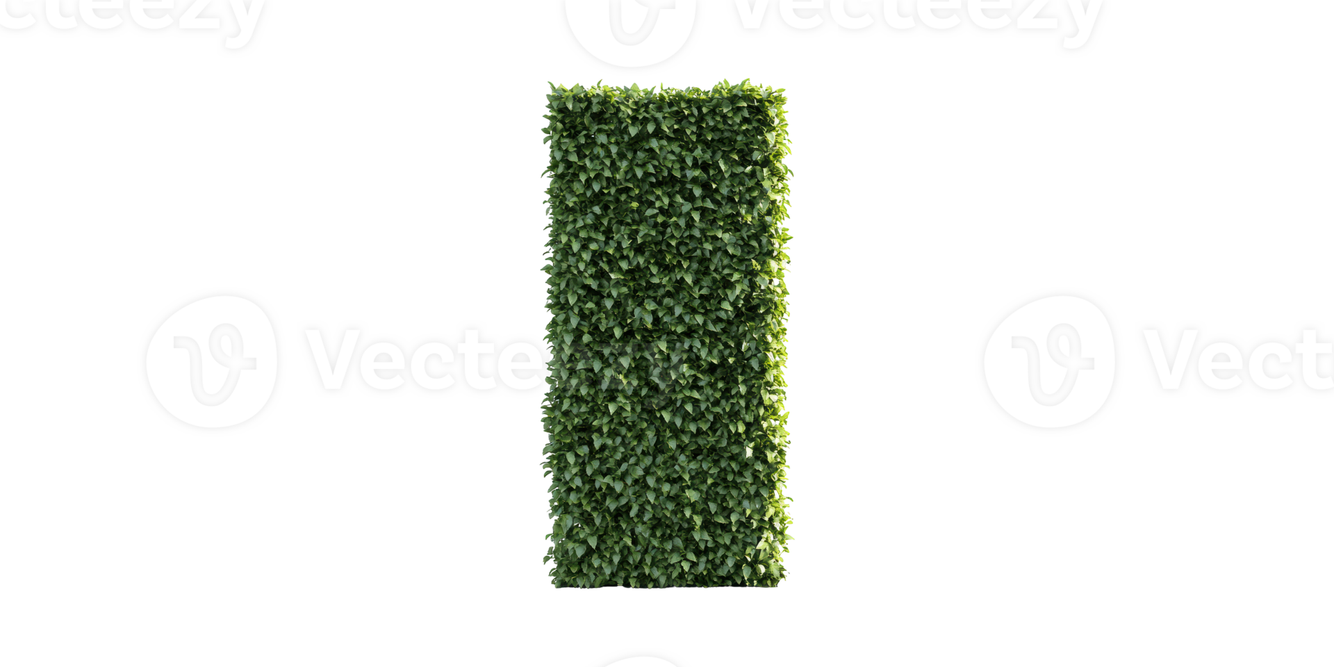 Rectangular Green Hedge. Landscaping And Privacy Solutions Isolated On Transparent Background png