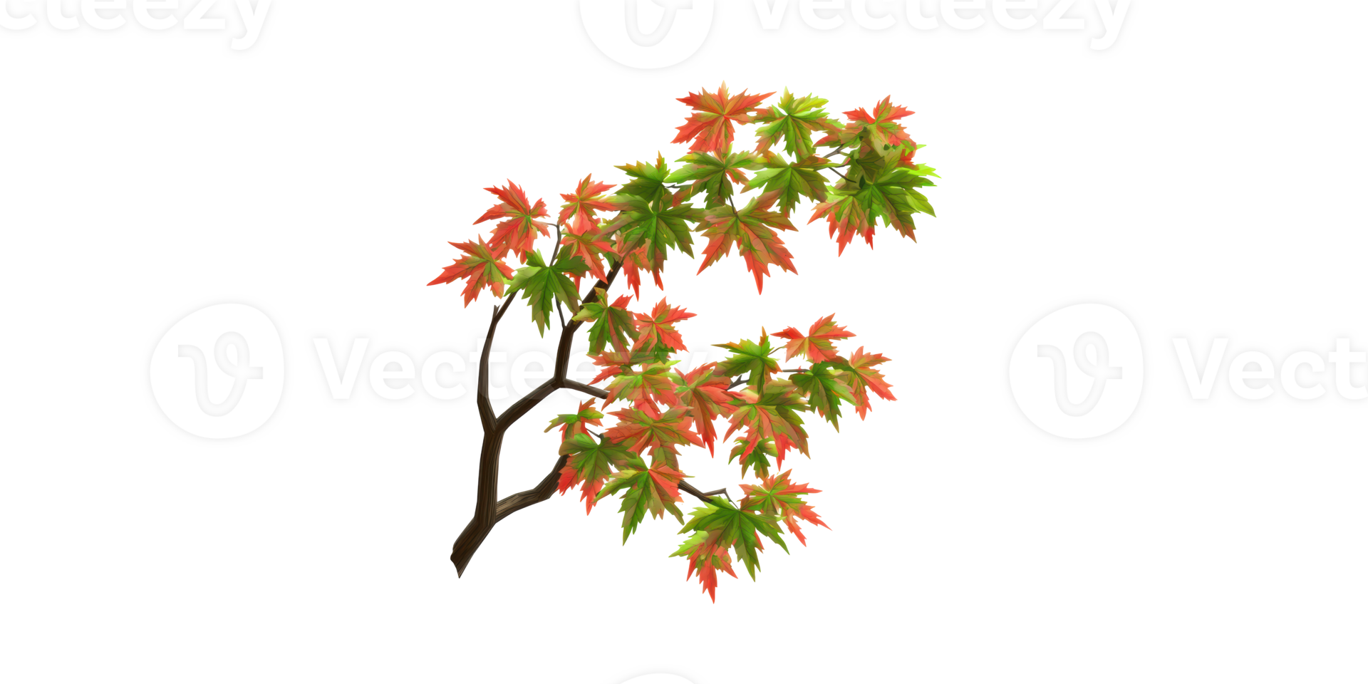Autumn Maple Branch With Red And Green Leaves. Seasonal Change And Nature Concept Isolated On Transparent Background png