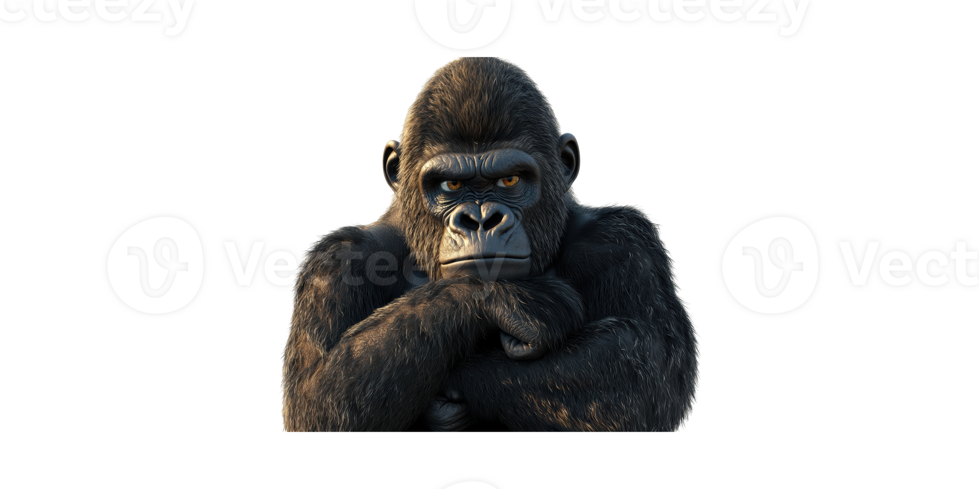 Gorilla With Intense Stare. Symbol Of Strength And Contemplation Isolated On Transparent Background png