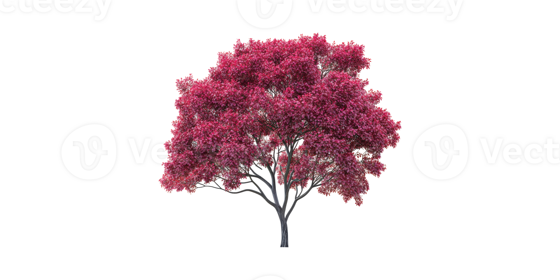 Vibrant Red Maple Tree. Symbol Of Nature'S Beauty And Seasonal Change Isolated On Transparent Background png