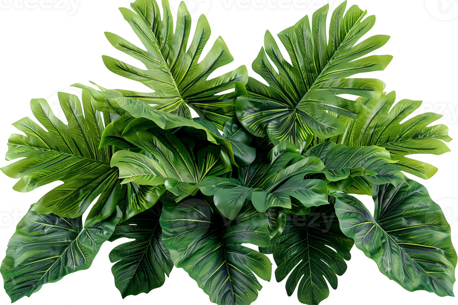 Lush green philodendron leaves cluster together, creating a tropical foliage display, vibrant and detailed png