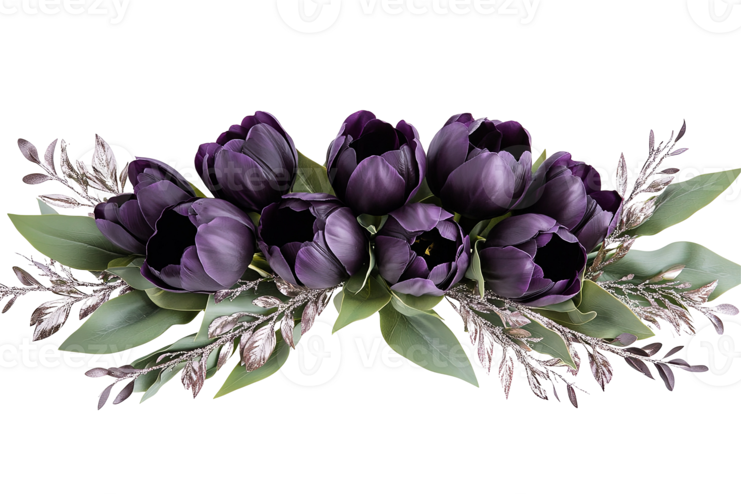 Beautiful dark purple tulips surrounded by green and silvery-gray foliage, creating a romantic arrangement png