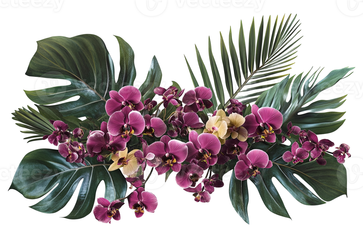 Tropical greenery with orchids lush leaves and vibrant blooms create an elegant floral arrangement on a transparent background png