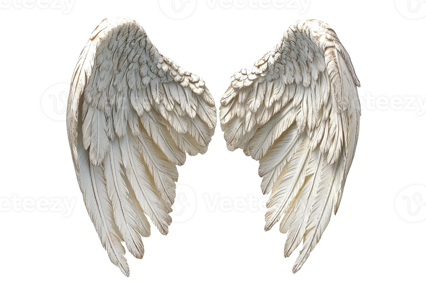 Two pure white wings, their feather detail highlighted on a dark transparent backdrop, create an ethereal feel png