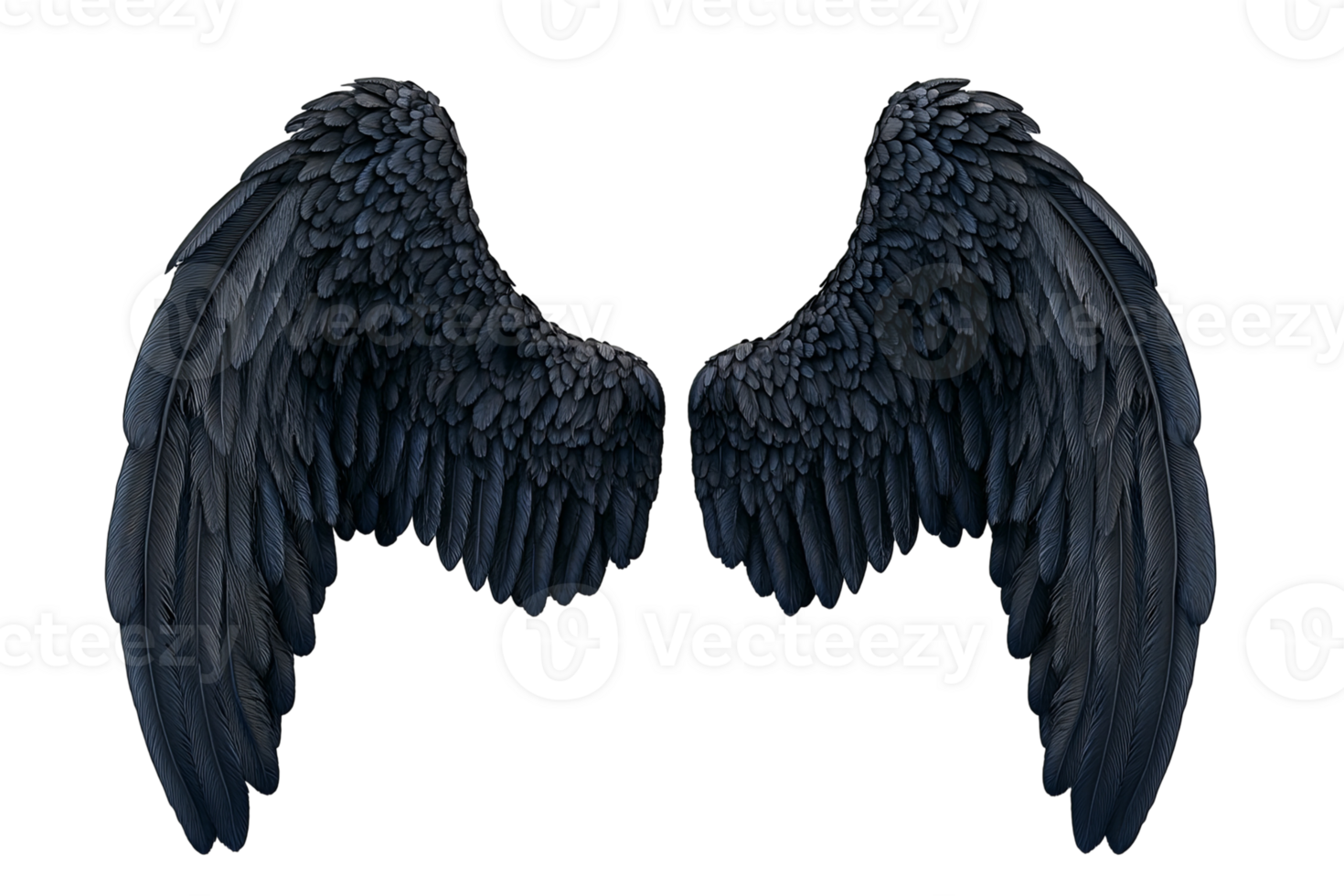 Two dark wings spread open against a transparent background, featuring detailed feather texture and subtle shading png