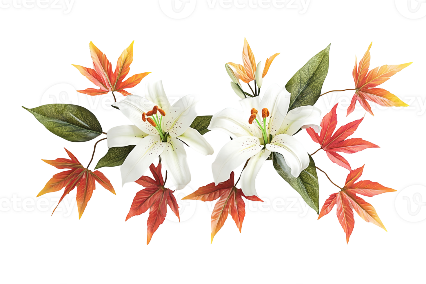 Illustration lilies with yellow, red, and brown leaves against transparent background png