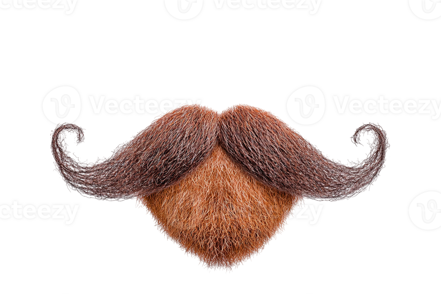 Isolated beard. Textured brown and tan beard with curled mustache on transparent background png