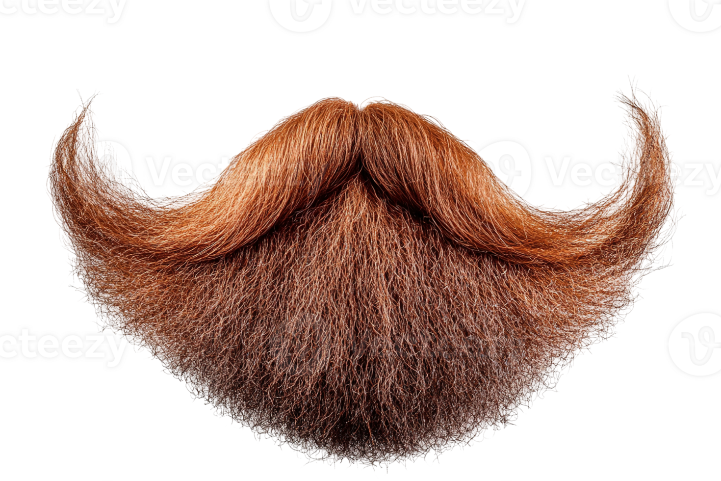 Reddish-brown beard and mustache on transparent background. Fine texture and depth. Realistic hair details png