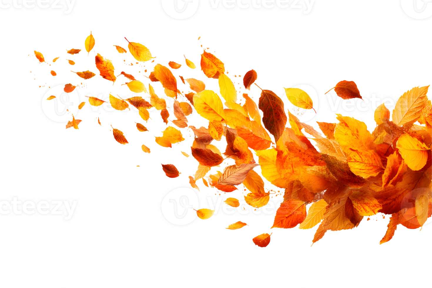 Autumn Leaves Dynamic swirl of falling yellow and orange leaves isolated transparent background. Fall foliage in motion png