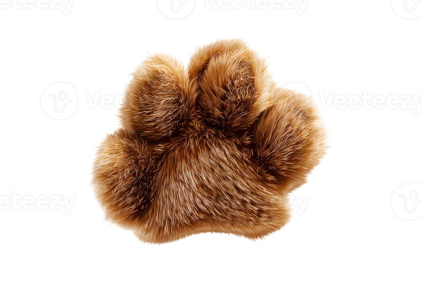 Fuzzy paw. Isolated transparent background, the orange fur defines toe pads and claws. Small, yet detailed, with rich textured fibers png