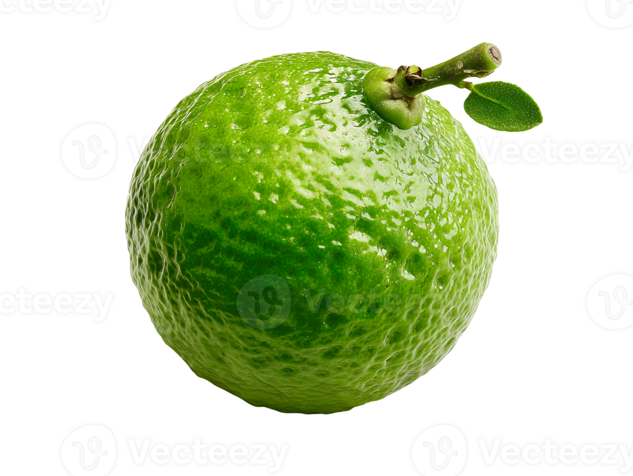 Bright green lime with a stem and leaf is against a transparent background png