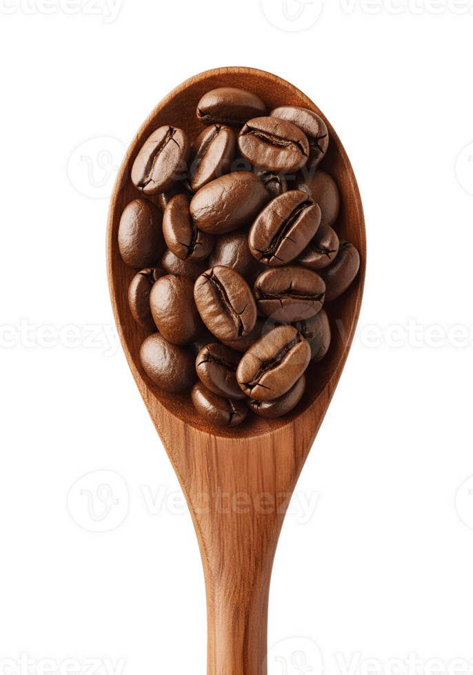 Coffee beans in a wooden spoon isolated, aromatic roasted beans on rustic utensil, close-up png