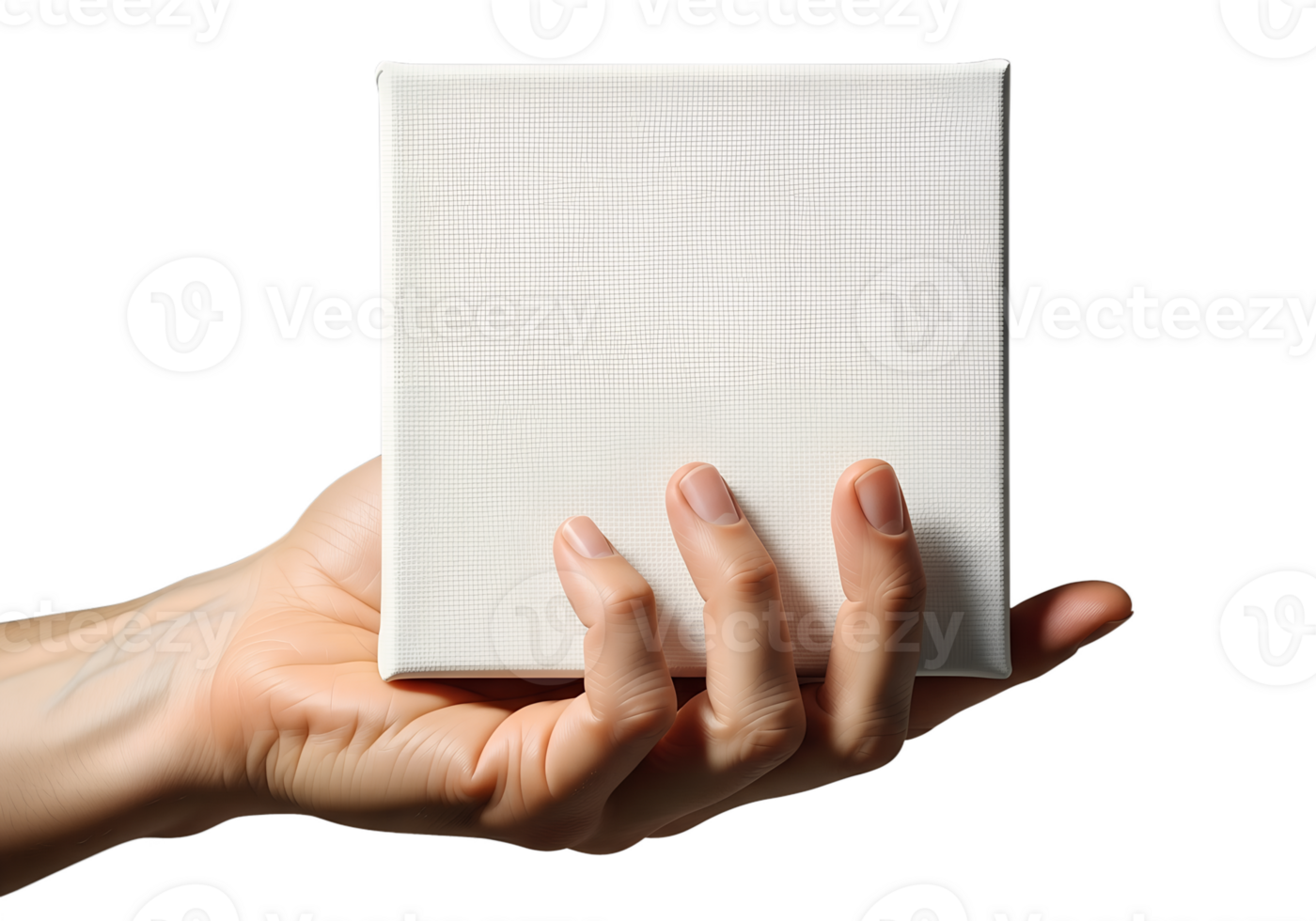 Artist hand holding blank white canvas isolated on transparent background, stretched linen ready for oil paint png