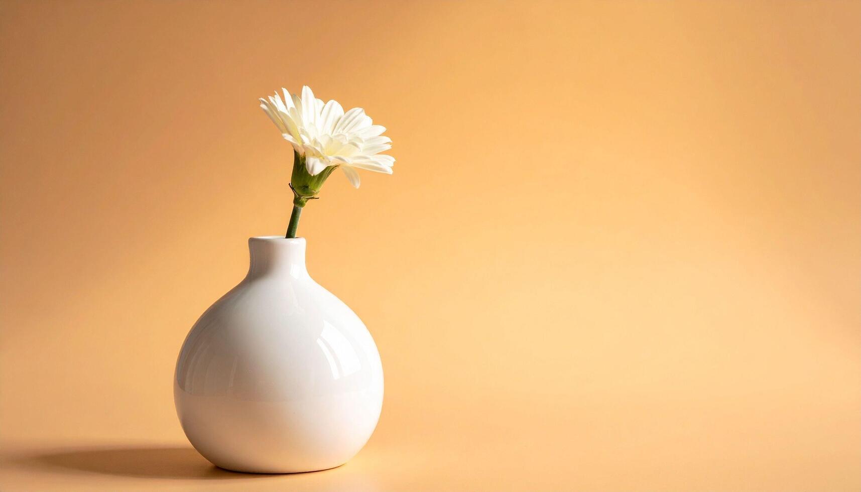 White Flower in Vase Still Life photo