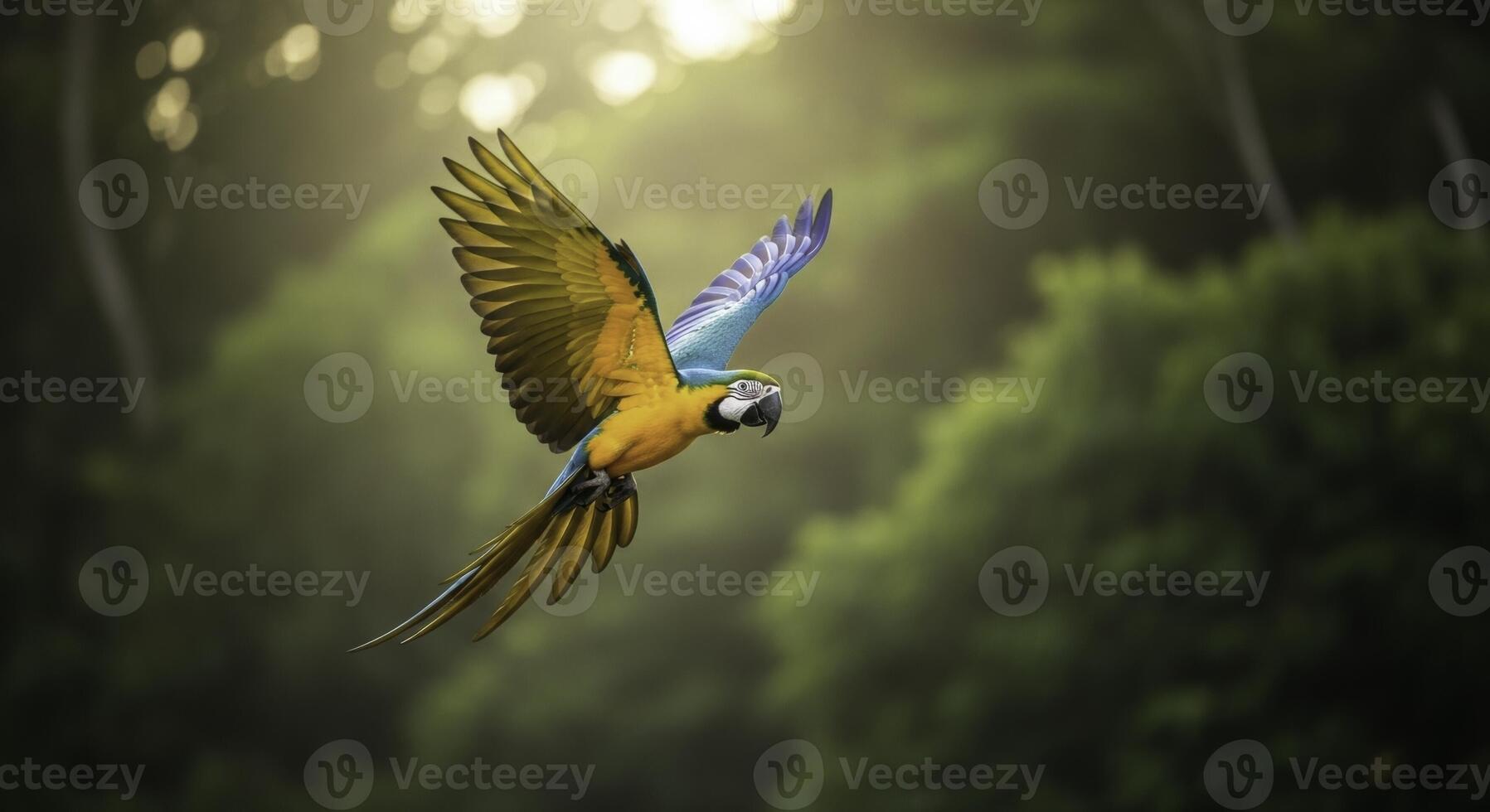 Vibrant blue and yellow macaw in full flight through lush tropical forest with sunlight photo