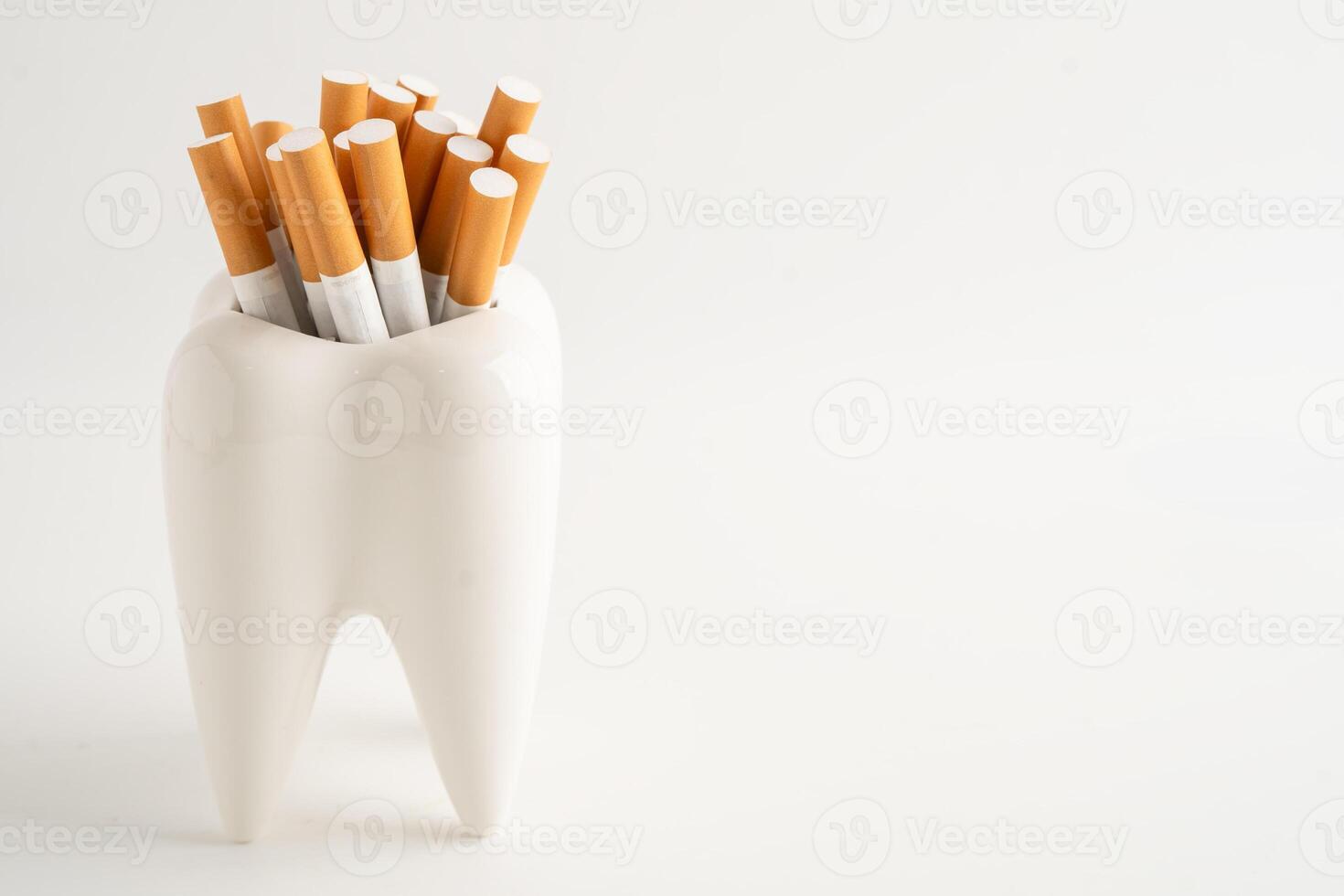 Cigarette in teeth model isolated on white background, damage the health of your teeth, photo