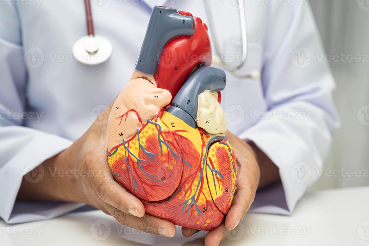 Cardiovascular disease CVD heart photo