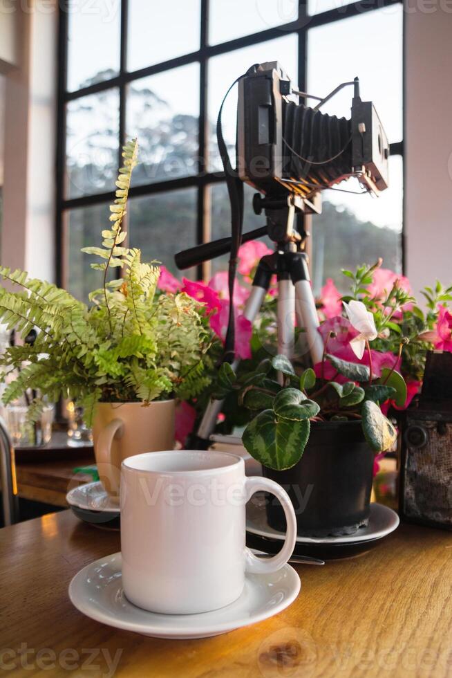 Old Camera on a Table with a Coffee Cup and Plants, Cozy Rustic Interior Still Life. Dalat, Vietnam. photo