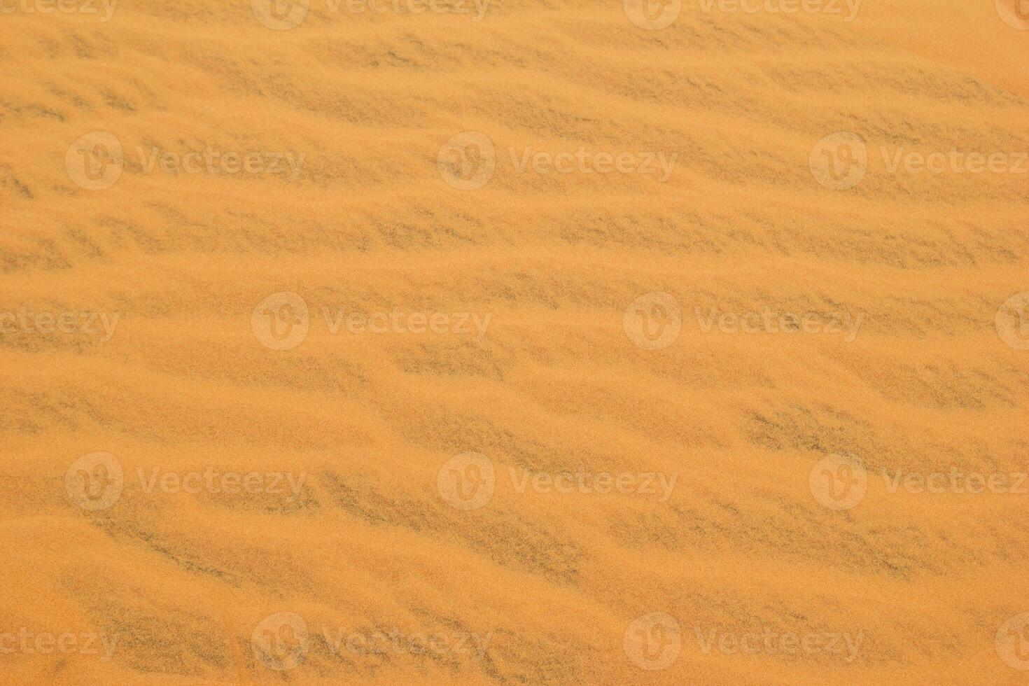 Golden Desert Sand Dunes Landscape with Ripples and Texture. Abstract Nature Background. photo