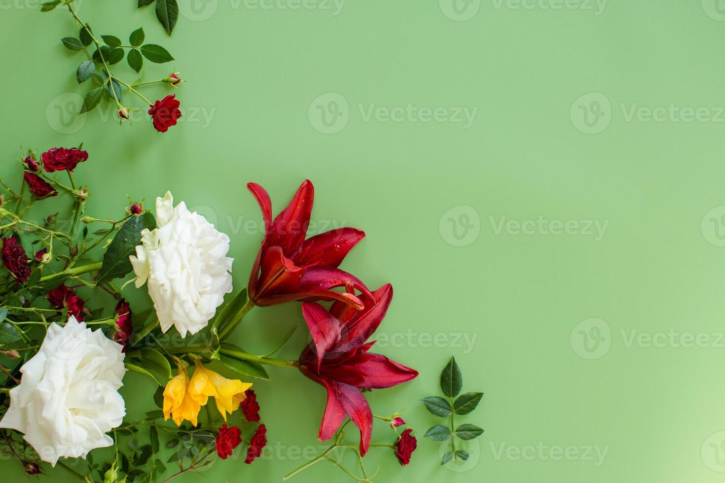 Floral botanical drawing of red lilies with red and white roses on a green background photo