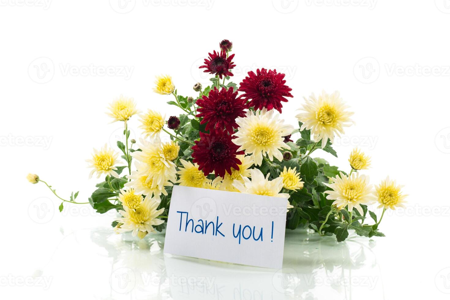 bouquet of bright autumn chrysanthemums with gratitude on white background photo
