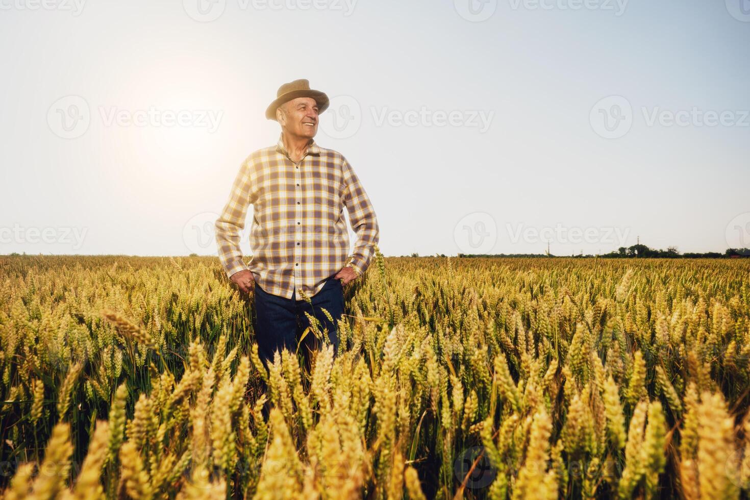 Portrait of successful older farmer in agricultural field, smiling as he looks away, enjoying the peaceful rural scene on a sunny day. photo