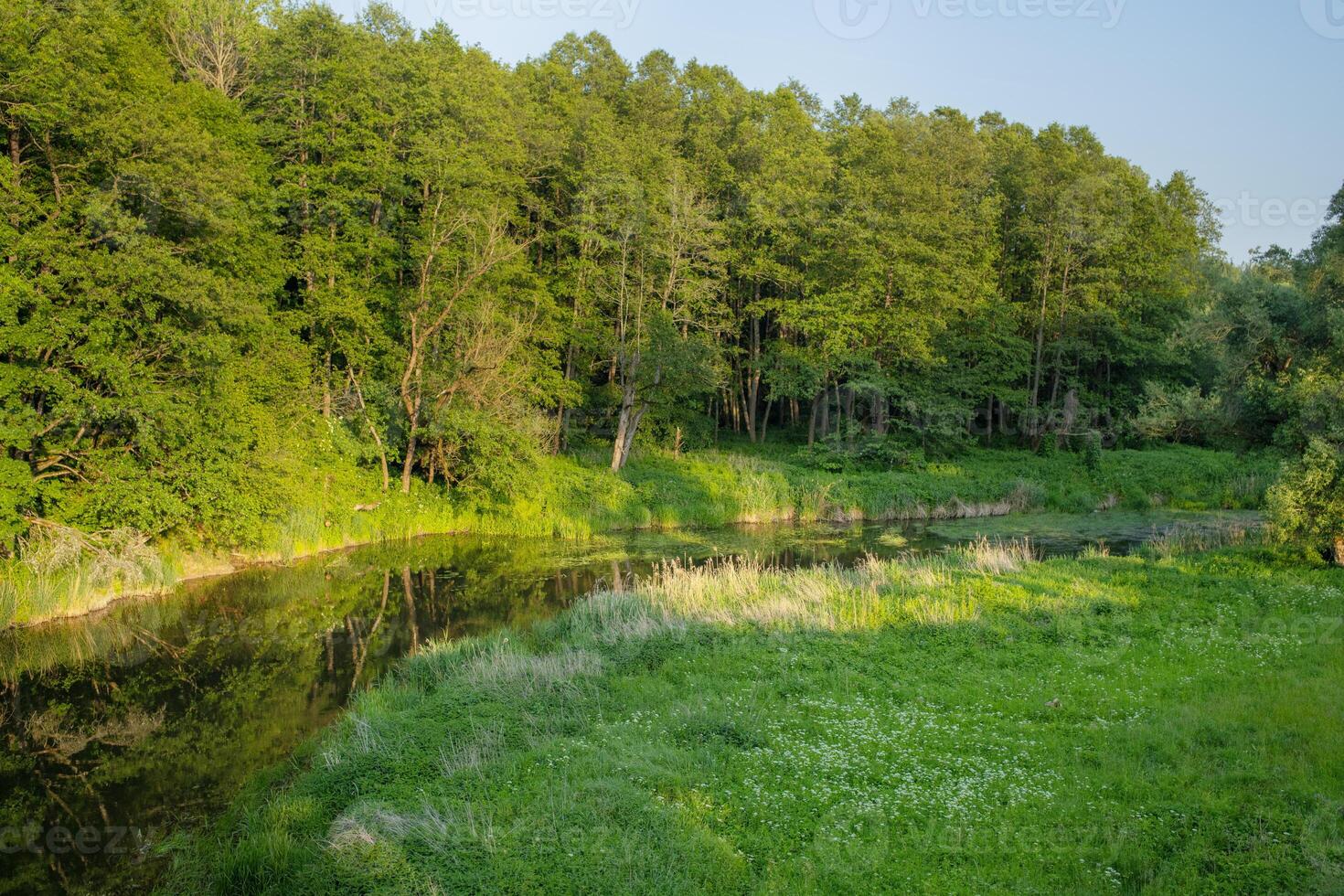 Small river near the water with a green forest in the back. Horizontal shot, perfect, quiet and beautiful place in nature for digital detox. green field on one side. Place for kayaking, rafting photo