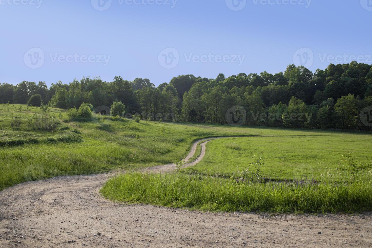 Long country road in a summer green field. A forest is visible in the distance. Beautiful blue sky. Spring landscape photo