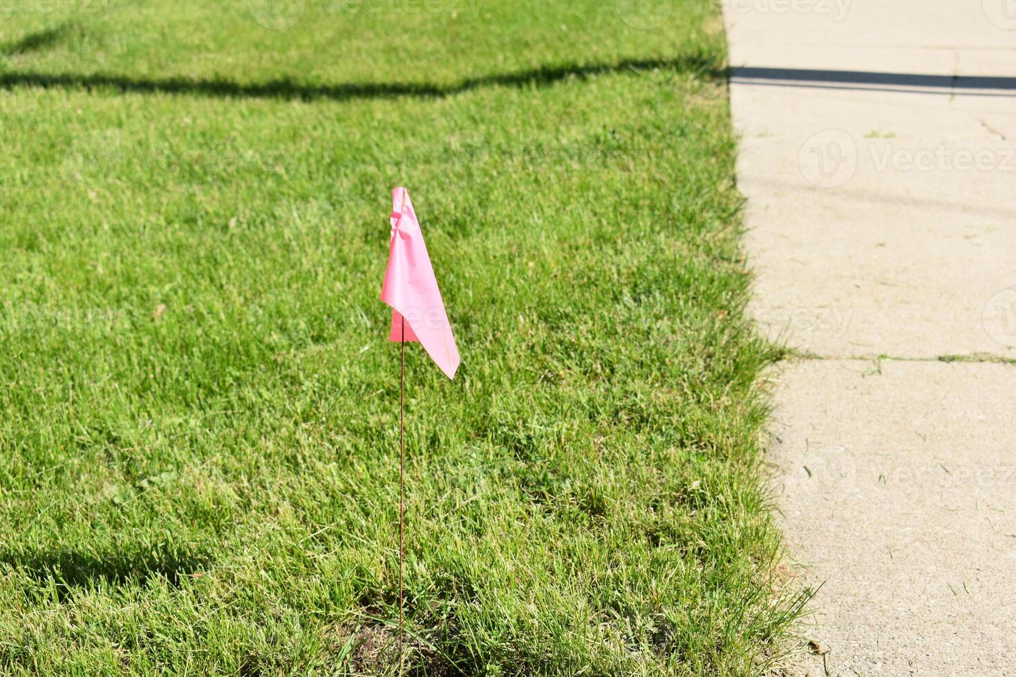 Pink Utility Flag in the Grass, Warning Residents, Contractors of Buried Line photo