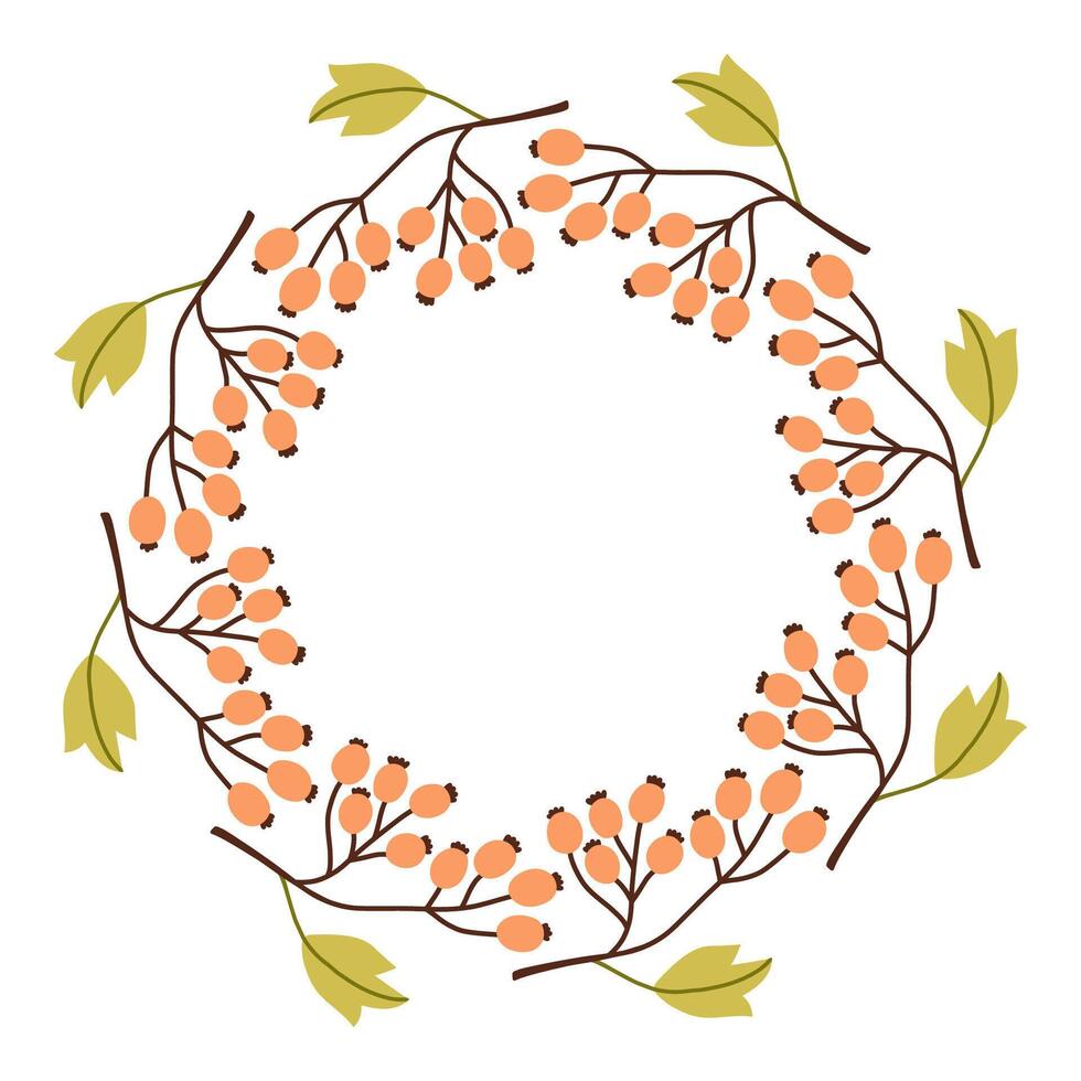 Autumn fall berry circle frame. Round border made of fall berries. The berries have different shapes and are arranged in a circle. flat isolated on white background. vector