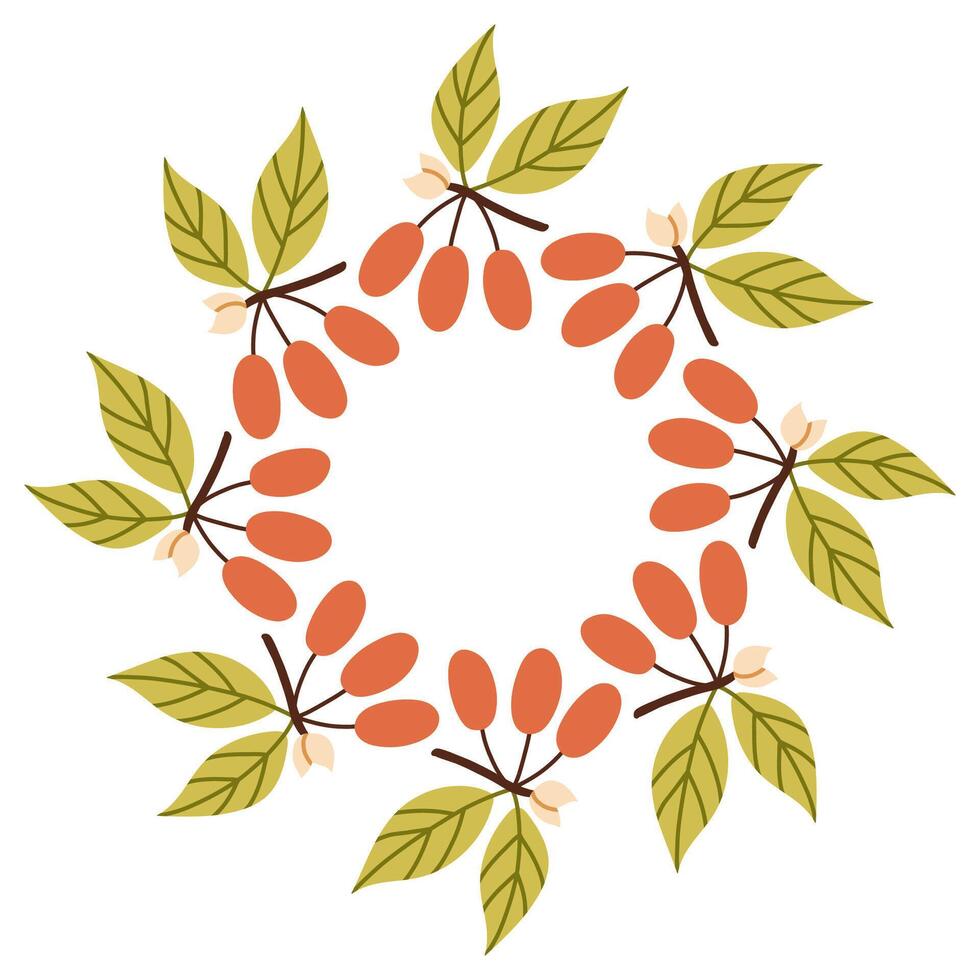 Simple autumn berries circle frame. Round border made of fall berries. The berries have different shapes and are arranged in a circle. flat isolated on white background. vector