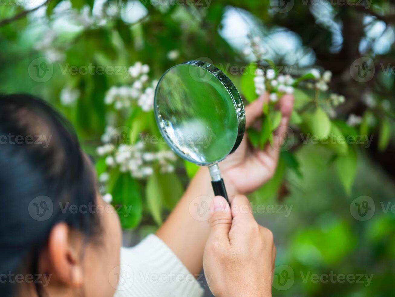 Female ecologist studies living things in a forest with a magnifying glass. Female environmental scientist holds a magnifying glass to examine plants. photo