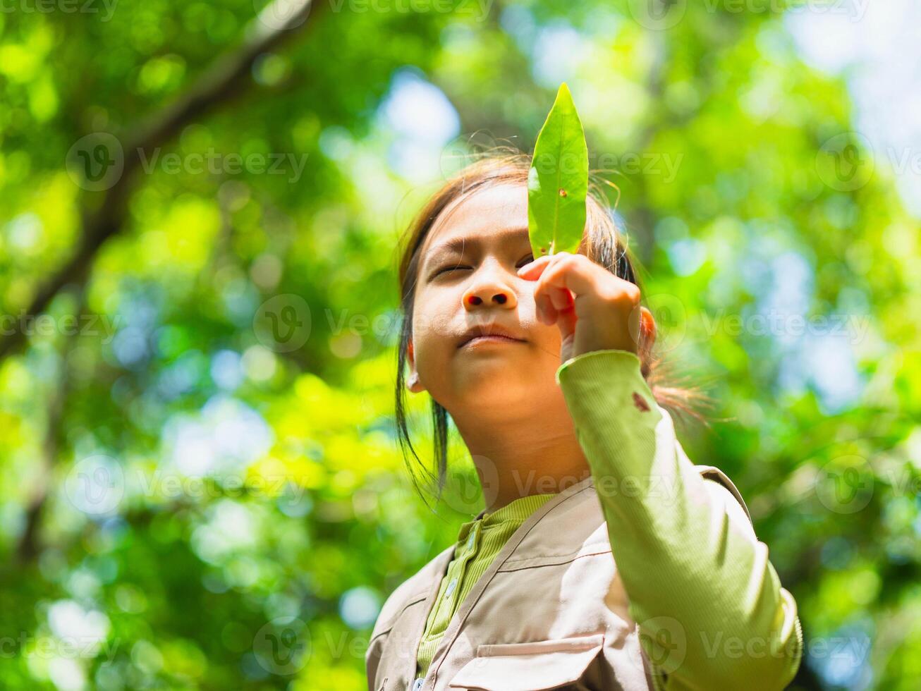 A happy little girl is exploring the forest and looking at the leaves. Adventure tourism and learning concept. photo