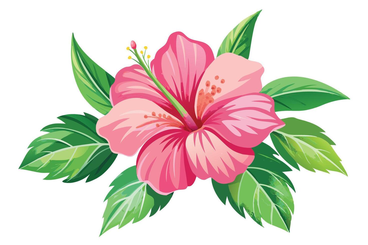 Pink hibiscus flower with green leaves vector