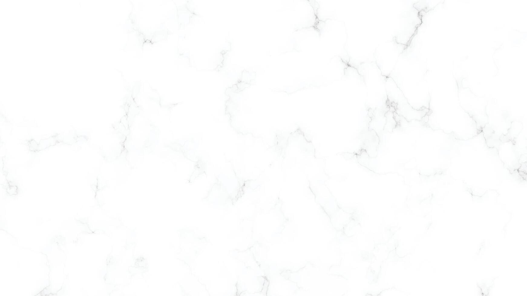 white marble background with a white marble texture vector