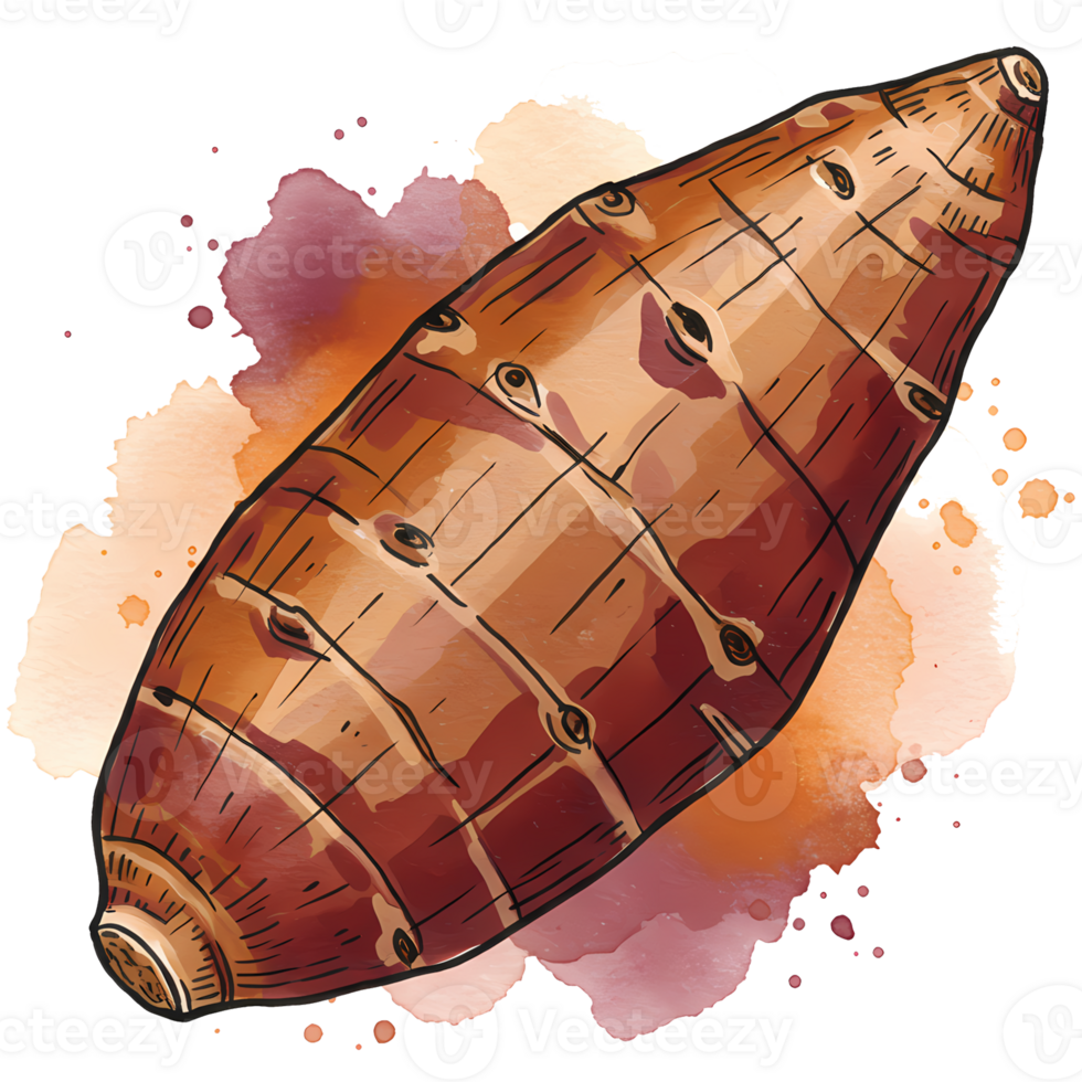 A stylized sweet potato with a watercolor wash behind it showcasing its texture and unique shape detail on transparent background png