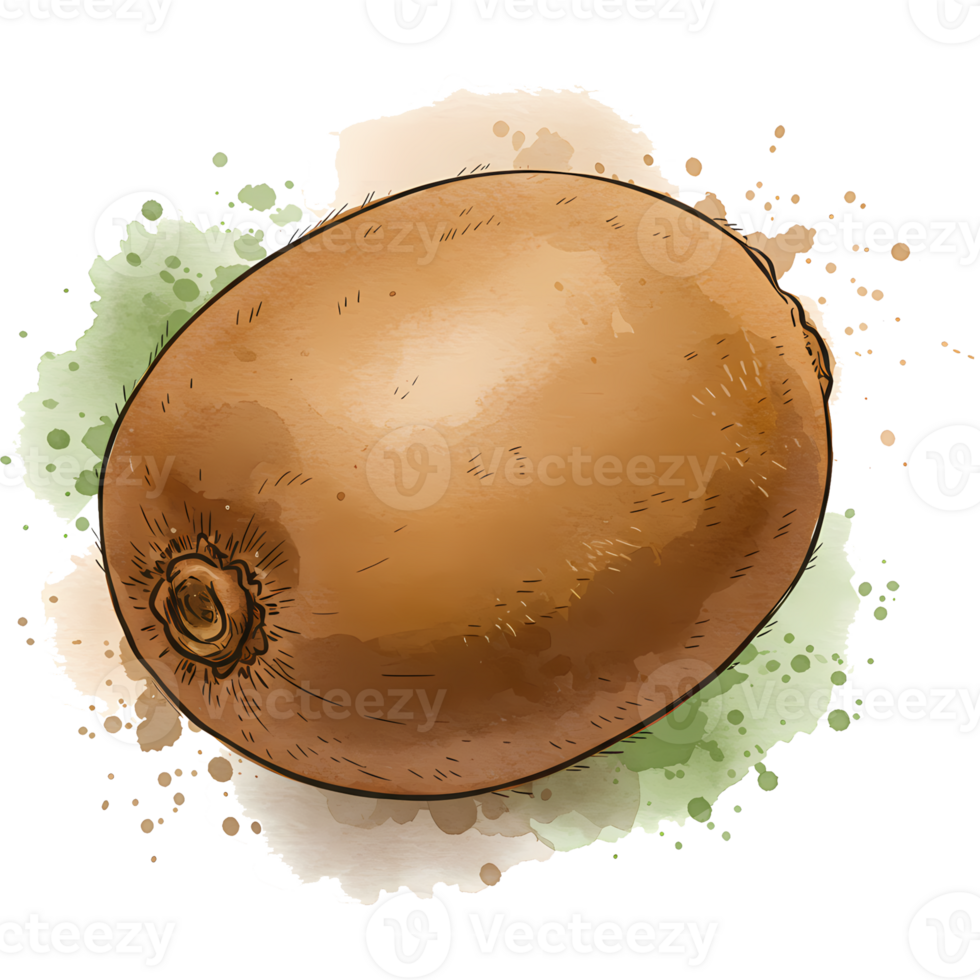 A single kiwi fruit with a watercolor splash effect on a plain studio type of background art style on transparent background png